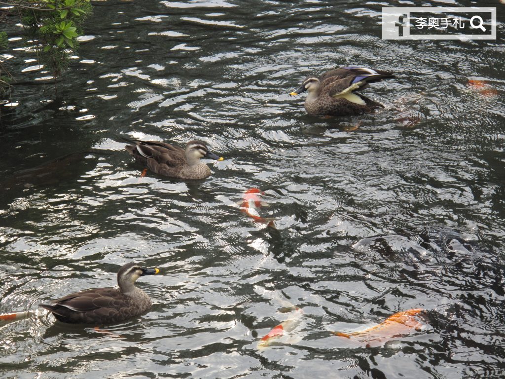 tochigi_14